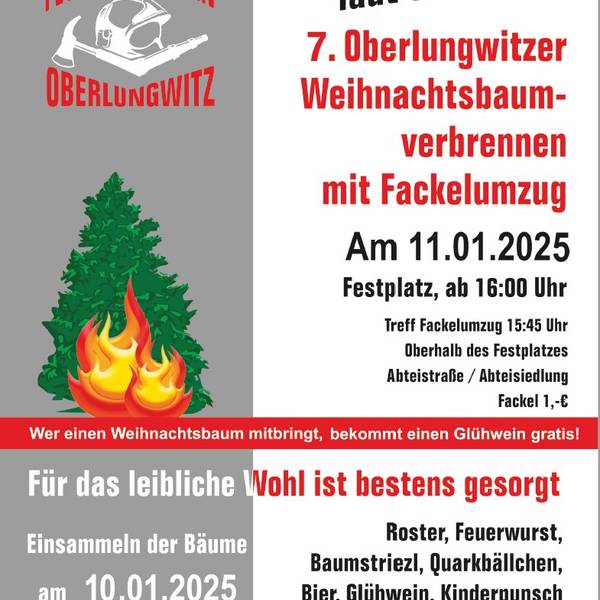 2024.11.27 - Feuerwehrverein - Weihnachtsbaumverbrennen.jpg